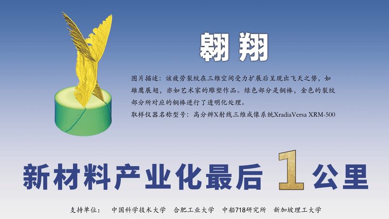 表面活性剂生物降解性评价：方法与标准解析