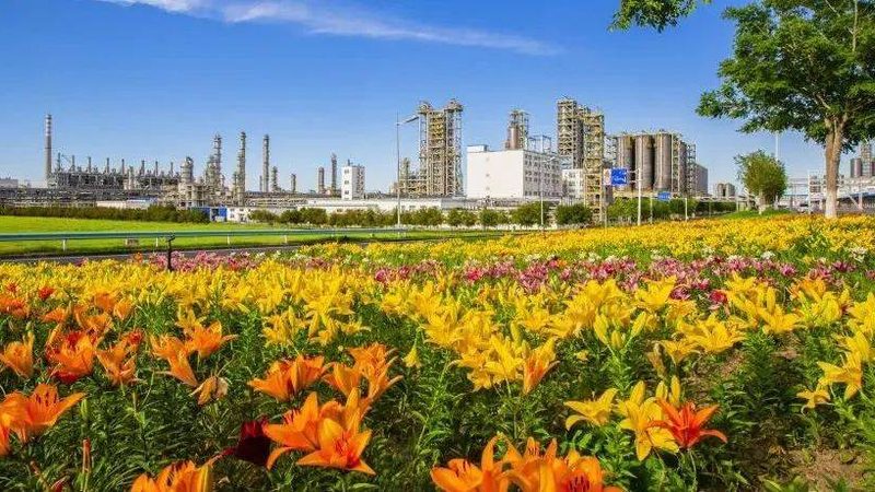 色母粒纹路检测：揭秘材料品质的“隐形密码